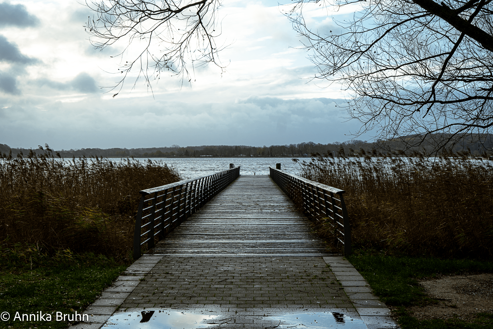 Blick auf die Schlei vom Steg aus